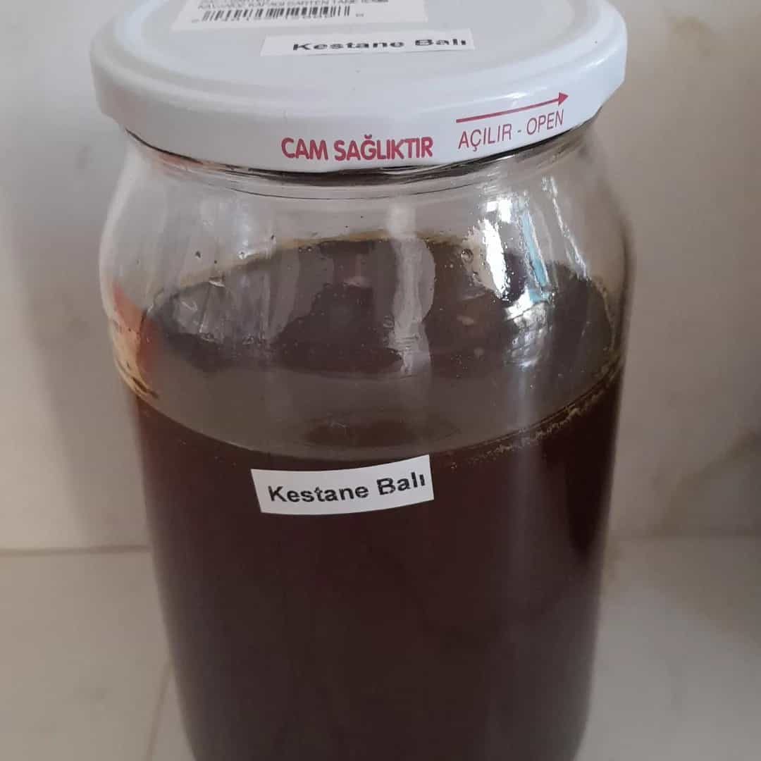 Kestane Balı