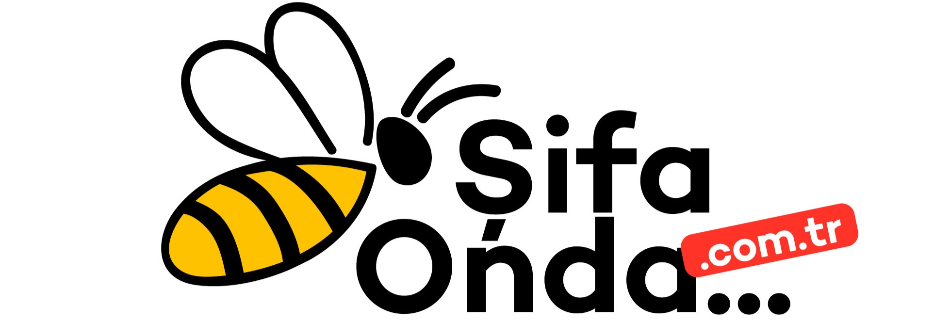 Anasayfa Slider